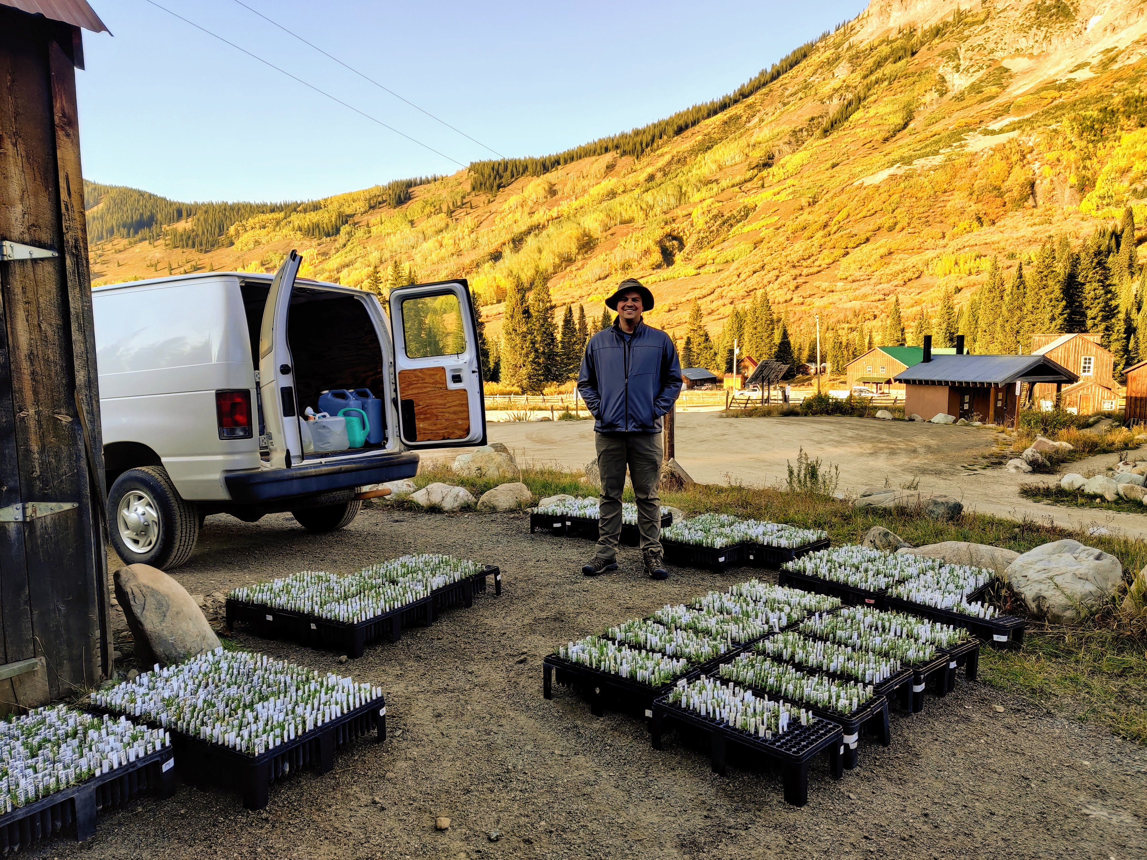 Boechera fieldwork in Gothic, CO