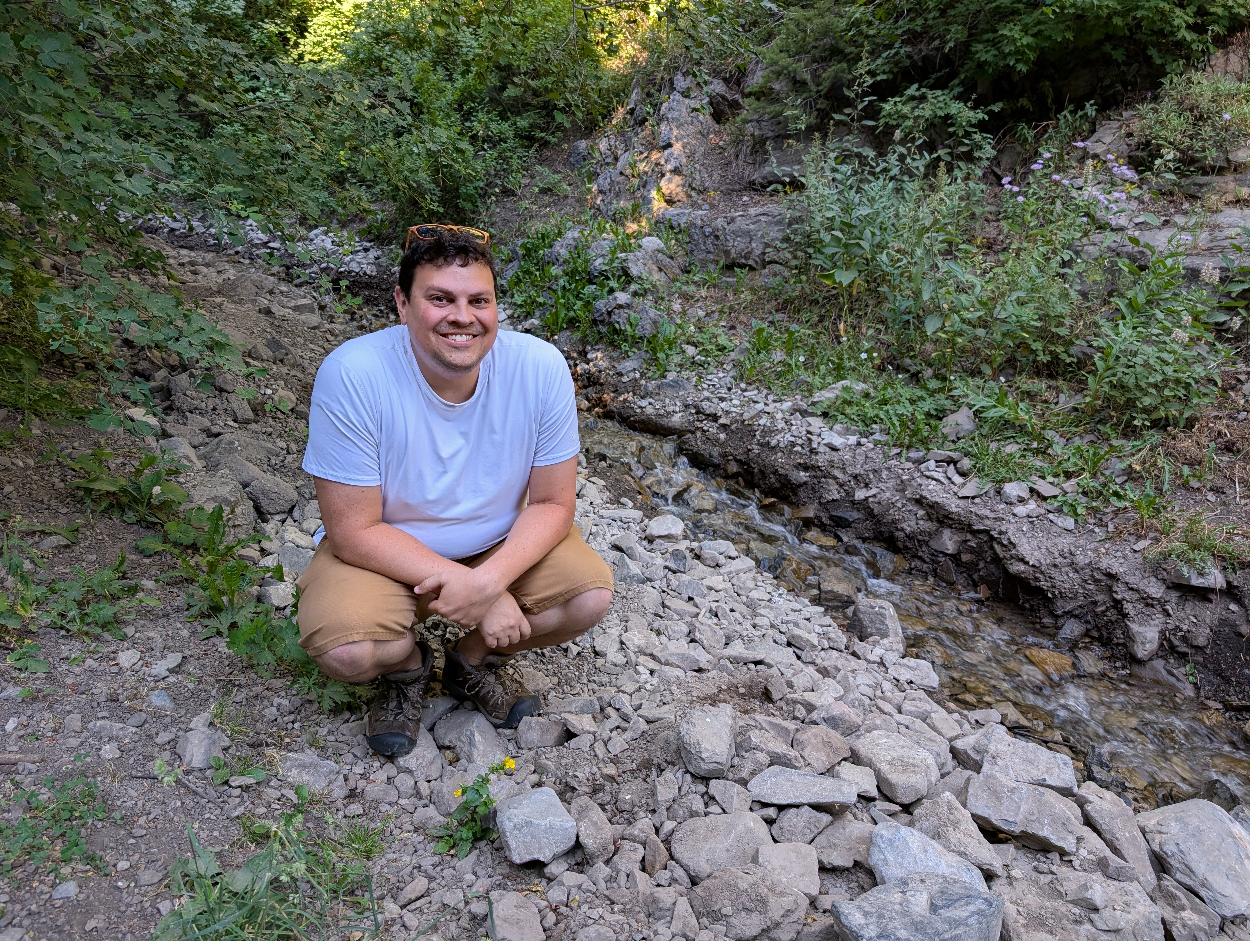 My first Mimulus population in Utah